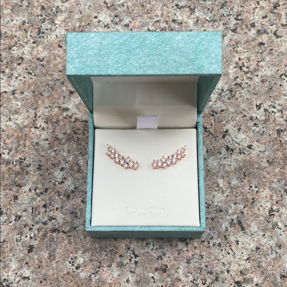 Elegant Rose Gold Sterling Silver Earrings